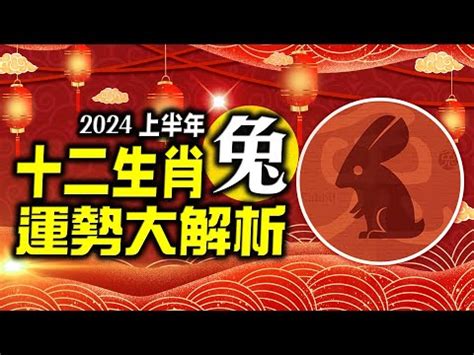 兔 2024 運勢|生肖兔: 性格，愛情，2024運勢，生肖1987，1999，2011